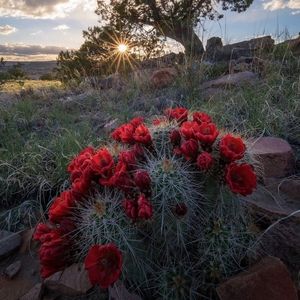 Meet your Posher, Paige